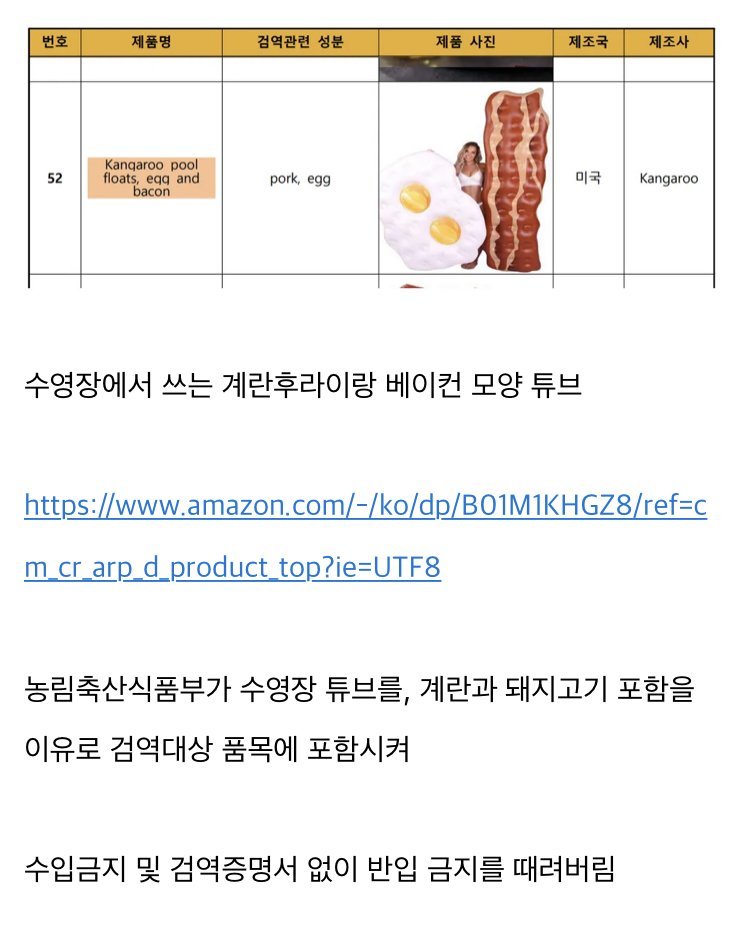 놀랍게도 수입 금지 물품이었던 물건