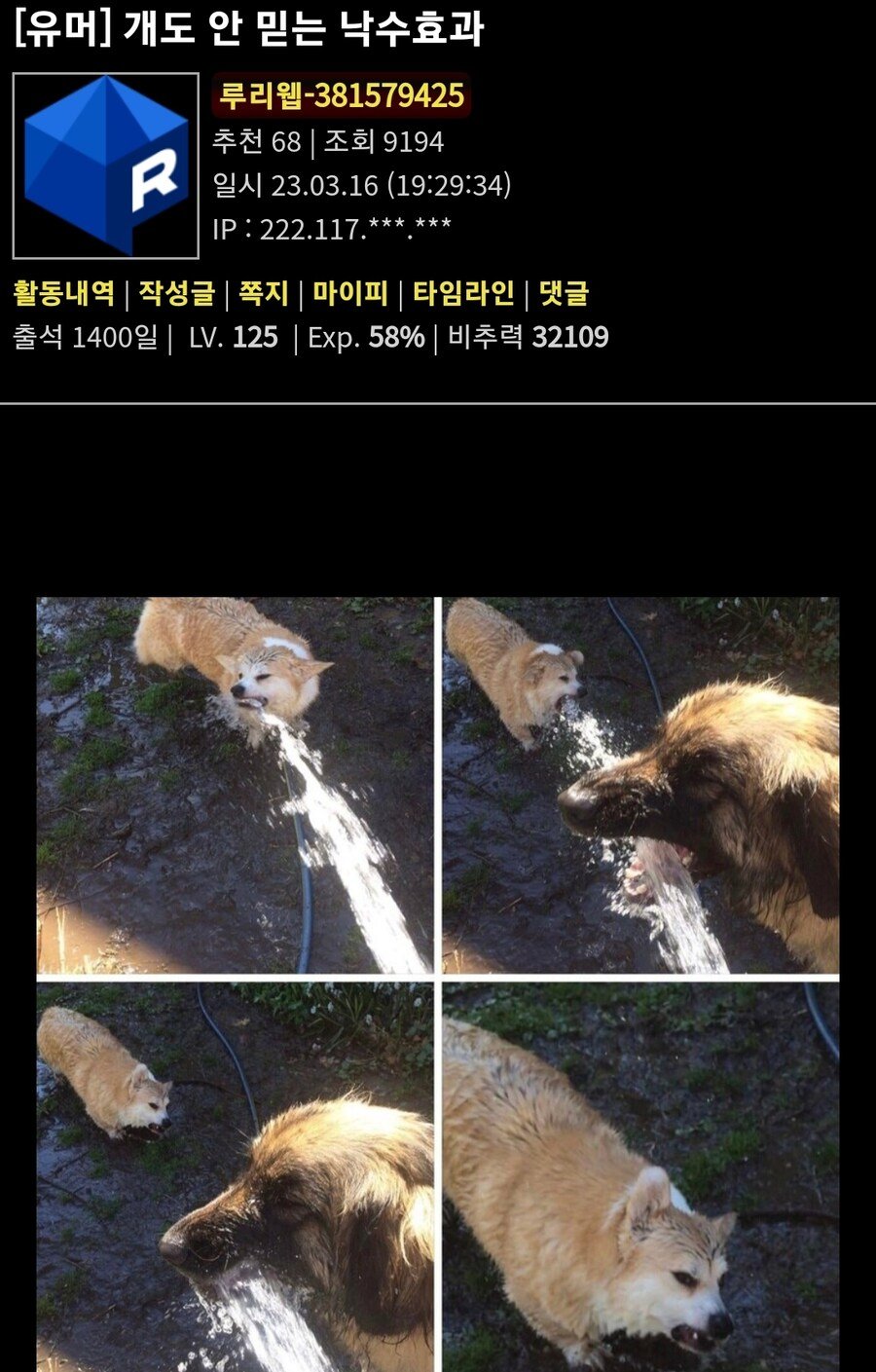 개도 안 믿는 낙수효과