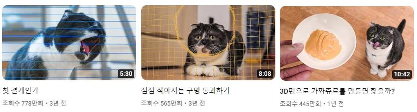 3D펜 유튜버 사나고 고양이 나고 사망