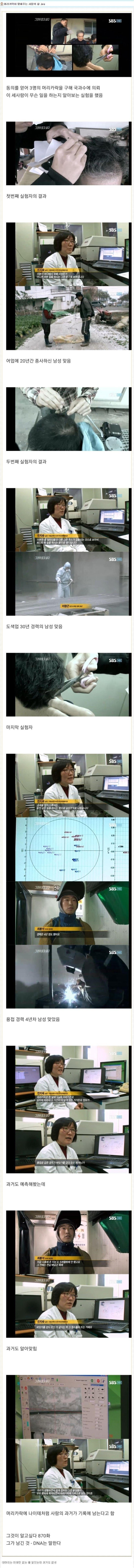 머리카락이 말해주는 사람의 삶