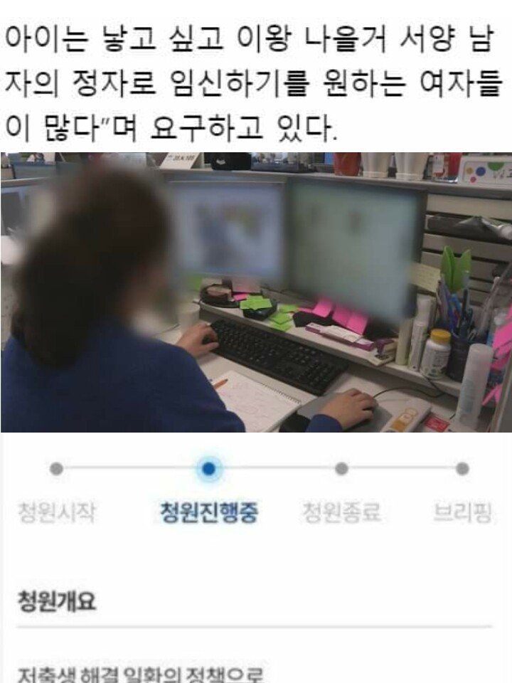 아이를 낳고 싶은 페미니스트