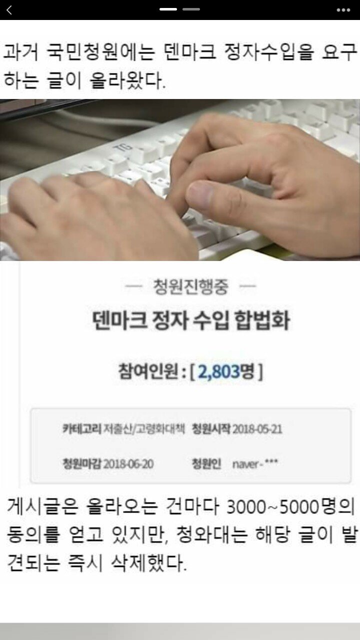 아이를 낳고 싶은 페미니스트