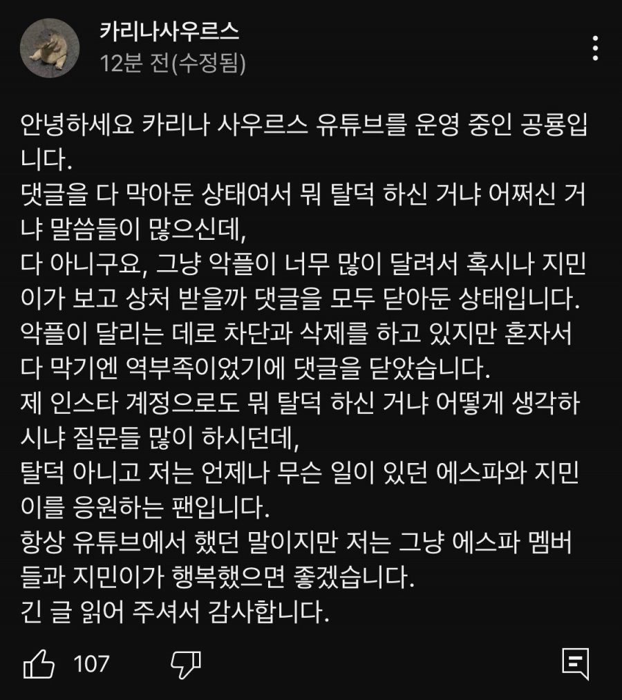 카리나팬 유튭 근황