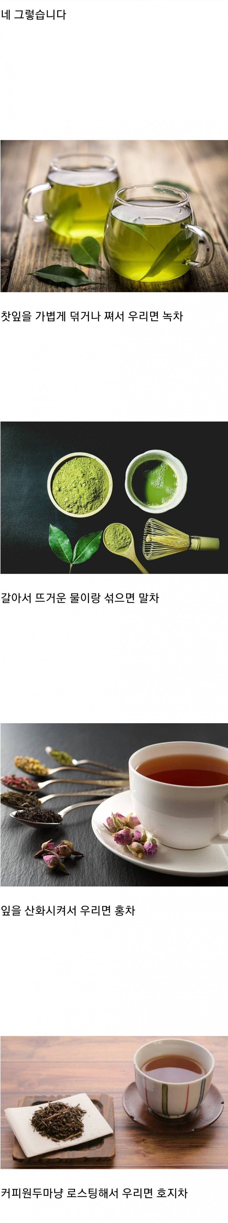 생각보다 모르는 사람이 많다는 차의 비밀ㄷㄷㄷ