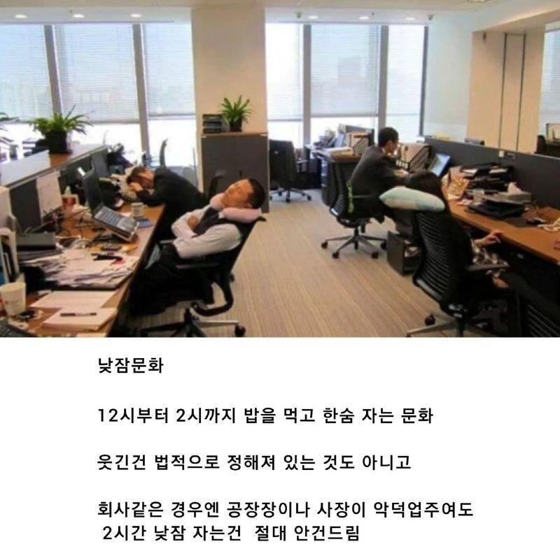  중국 점심시간에 있는 문화