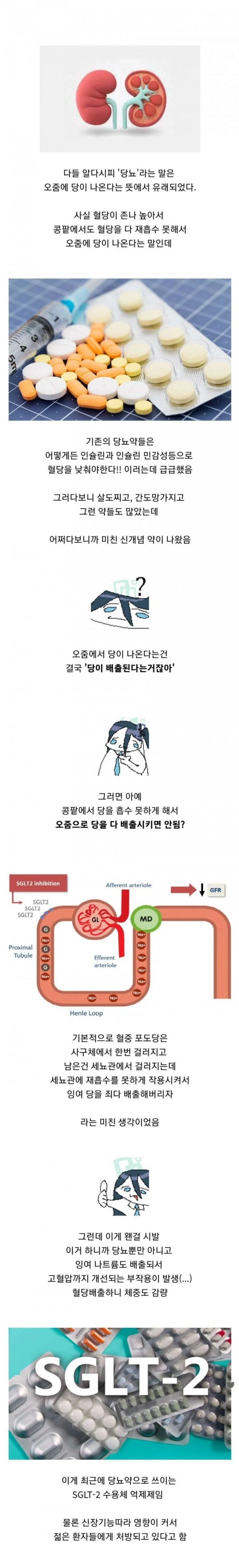 혁신적인 당뇨병 치료제 개발