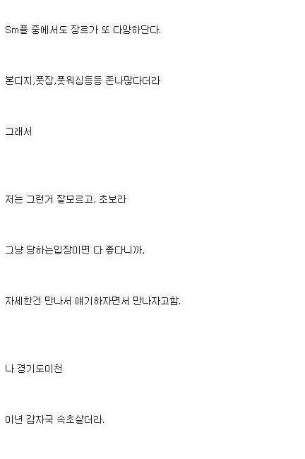 강한여자를 원했던 디시인의 SM후기