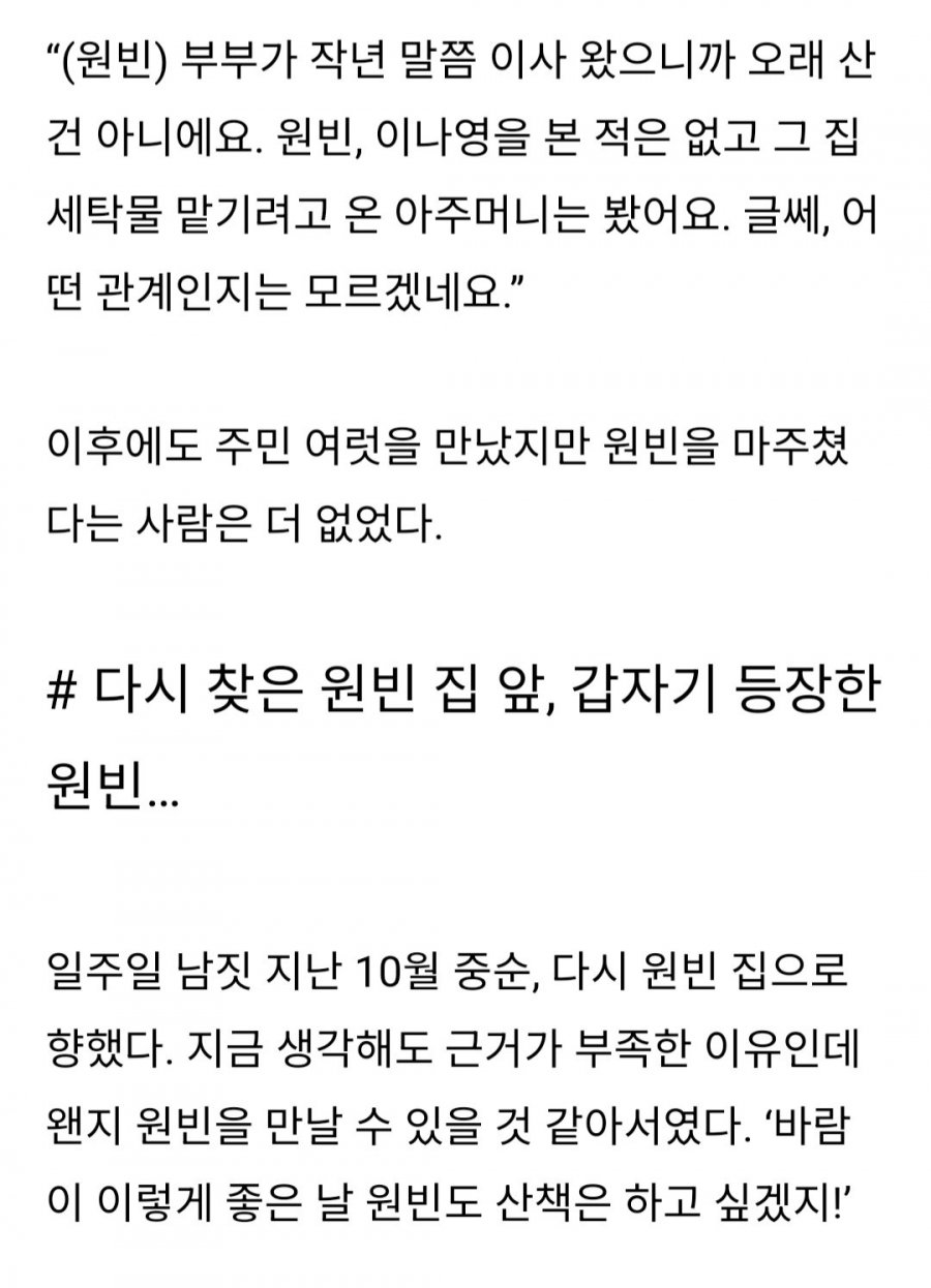 원빈 목격담 없는 이유 ㄷㄷ