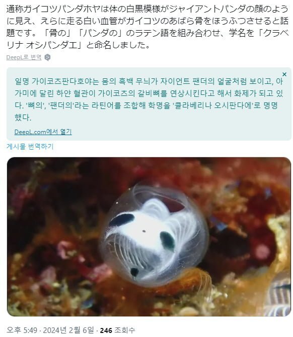 신기방기한 신종 멍게